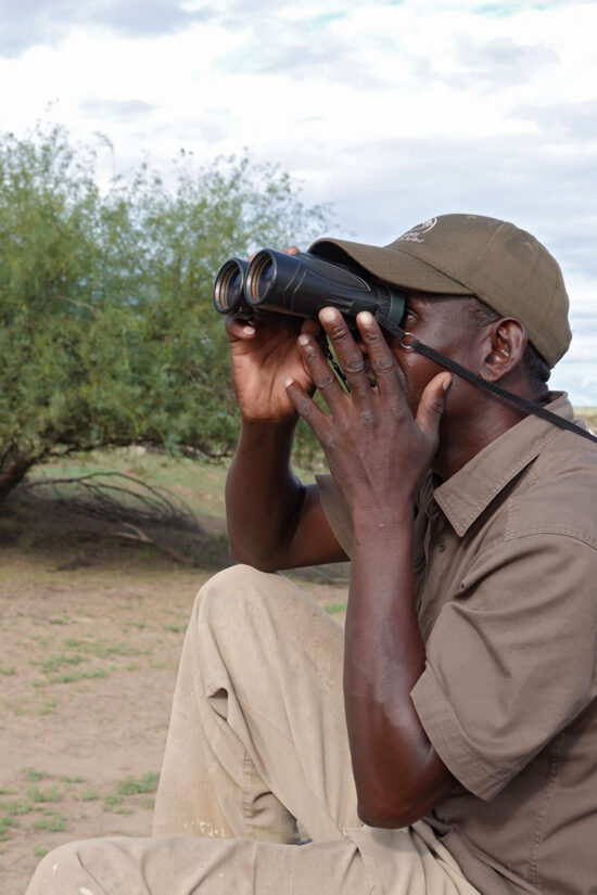 Jagdführer beobachtet Wildtiere mit dem Fernglas in Namibia